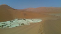 Tropical Dry/Arid Climate: Deserts and Steppes