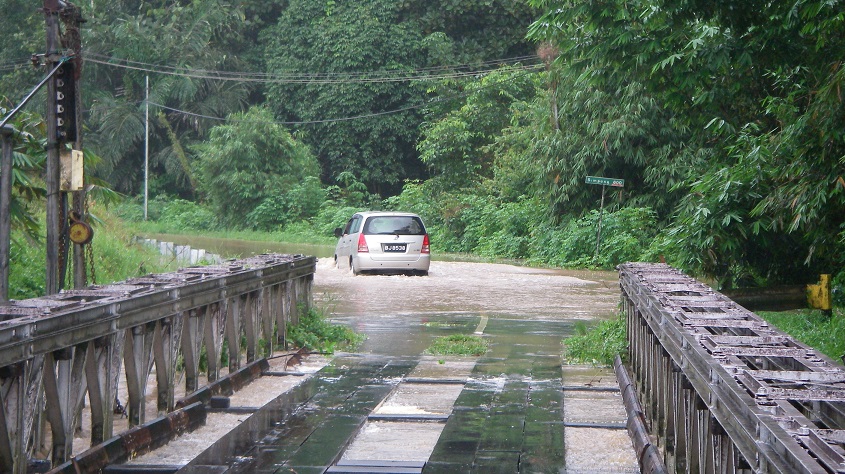 Flooded rainforest, Brunei